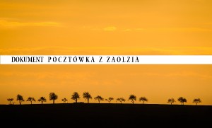 palowski-duze-fb.jpg